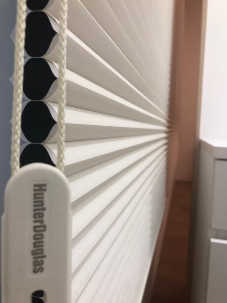 台灣雙層風琴簾最常見，尤其西曬窗推薦內層遮光塗佈，有效隔熱