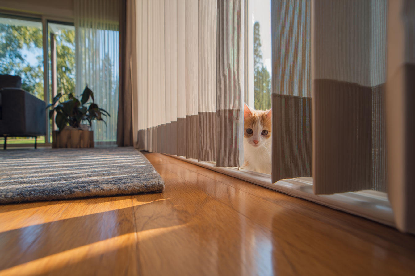 家中有養寵物需要考慮寵物的活動動線與習慣，並注意窗簾拉繩可能成為寵物的安全隱患