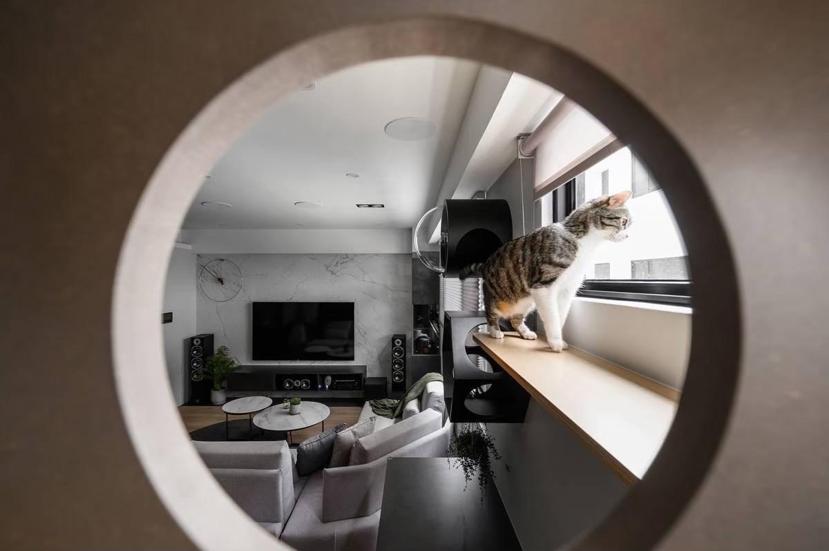 捲簾完整指南｜捲簾配件哪裡買？捲簾價格試算、尺寸挑選與安裝一次看懂